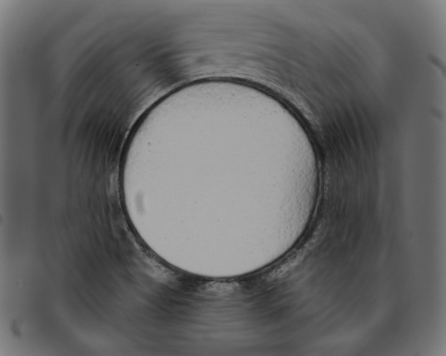 X0000094771513200712141546