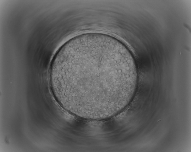 X0000094771514200712141546