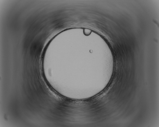 X0000094771517200712141547