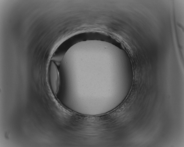 X0000094771520200712141547