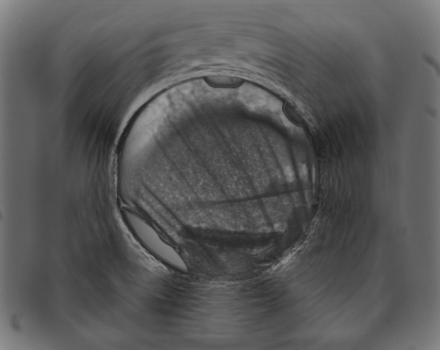 X0000094771522200712141547