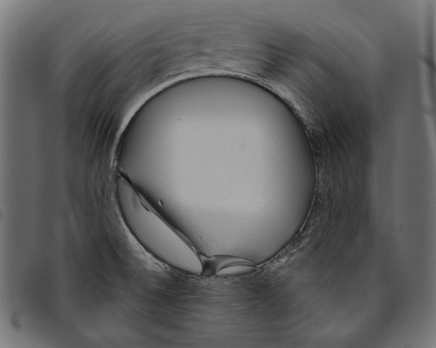 X0000094771524200712141547