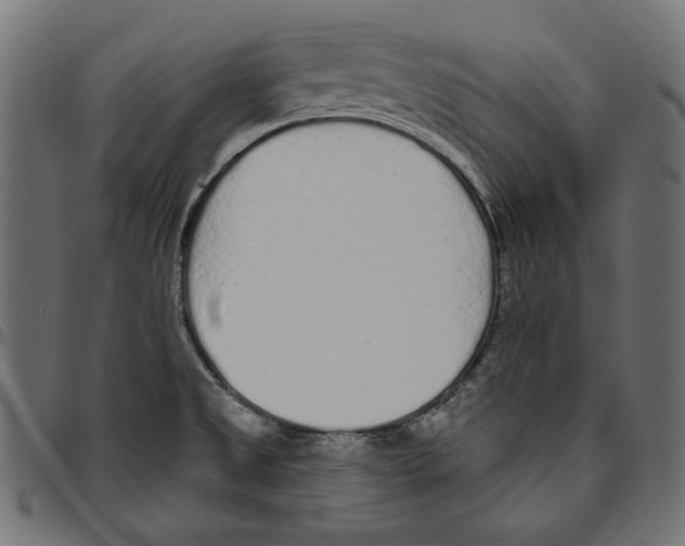 X0000094771525200712141547