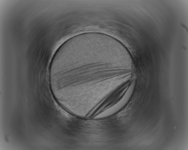 X0000094771527200712141547