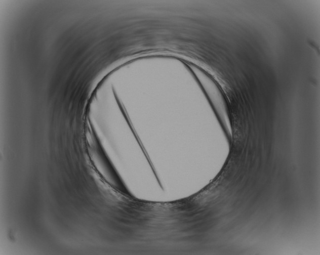 X0000094771534200712141547