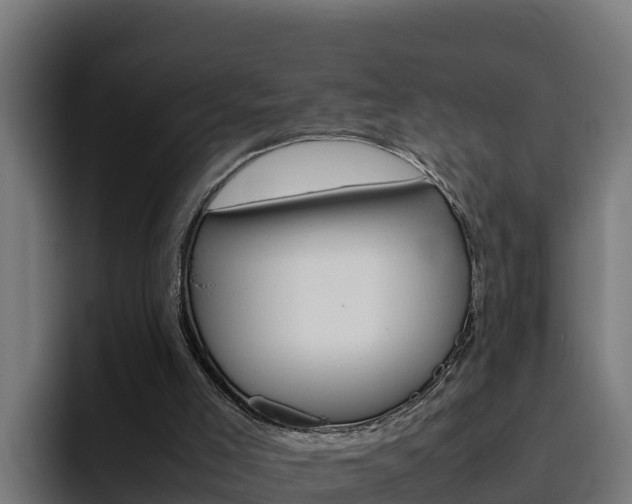 X0000094780005200711160900