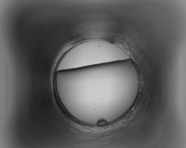 X0000094780006200711160900