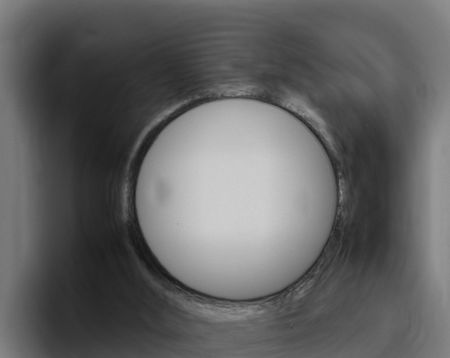 X0000094780012200711160859