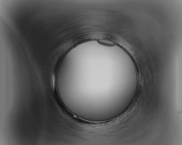 X0000094780013200711160859