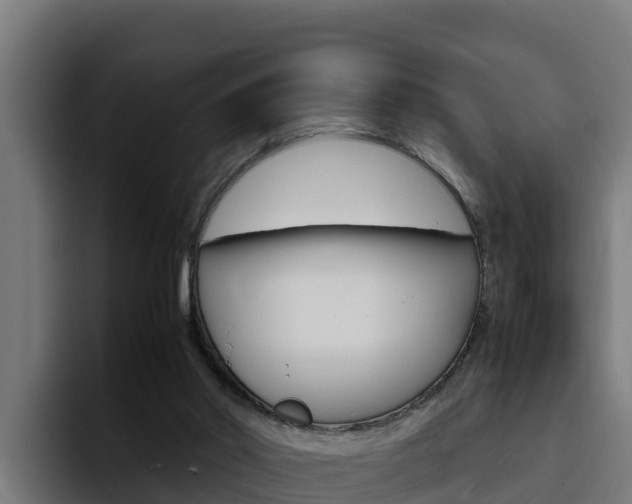 X0000094780014200711160859