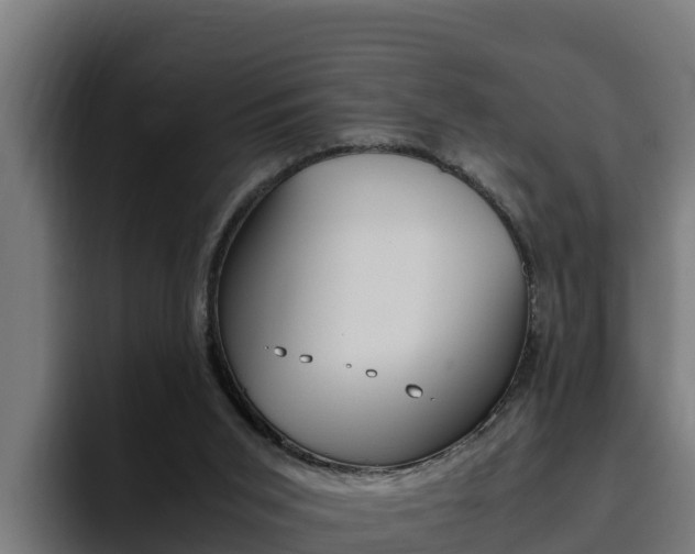 X0000094780015200711160859