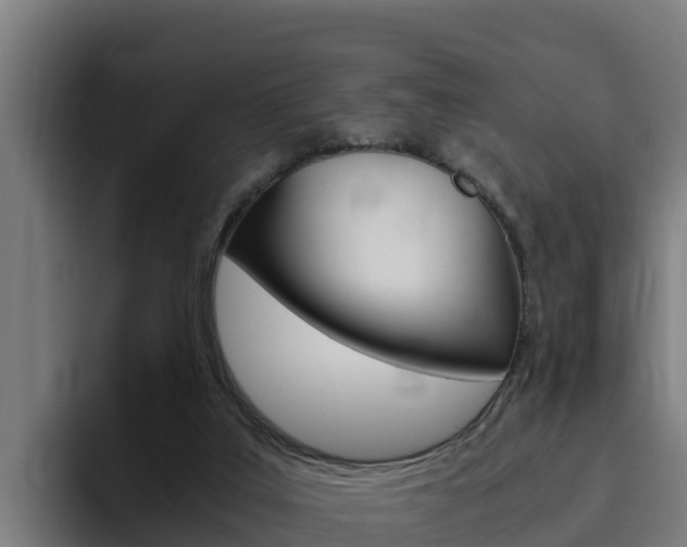 X0000094780019200711160859