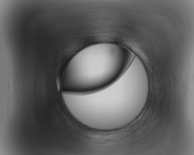 X0000094780021200711160859