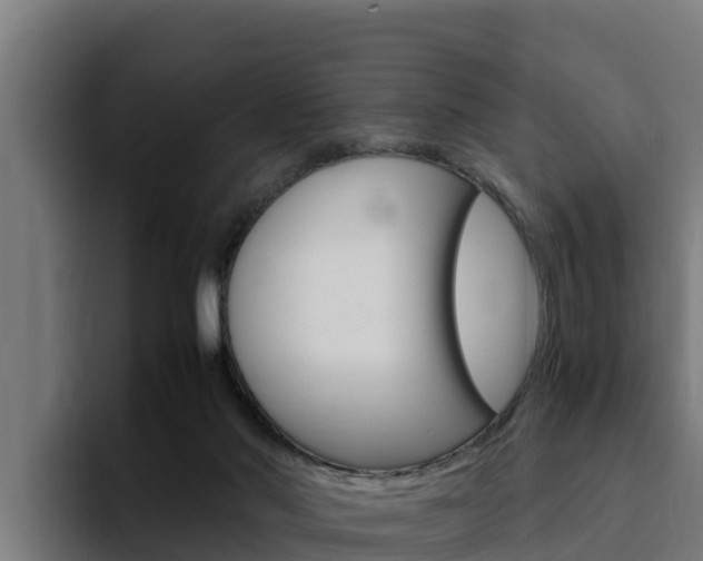 X0000094780022200711160859