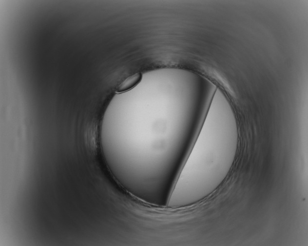 X0000094780023200711160859