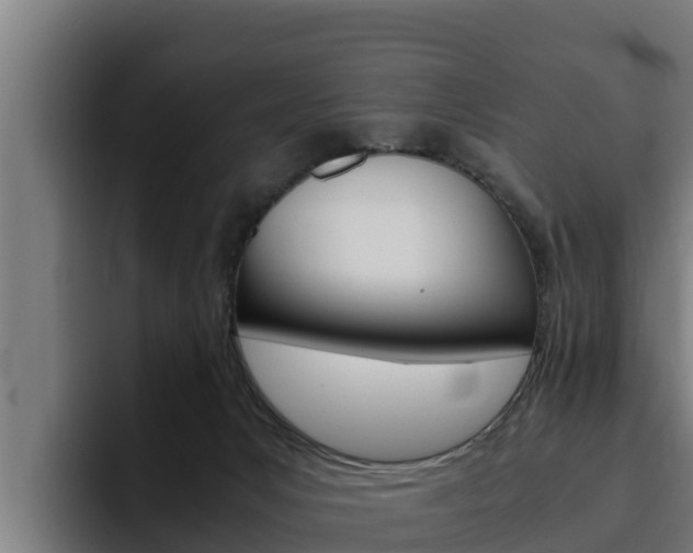 X0000094780031200711160859