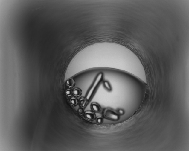 X0000094780037200711160859