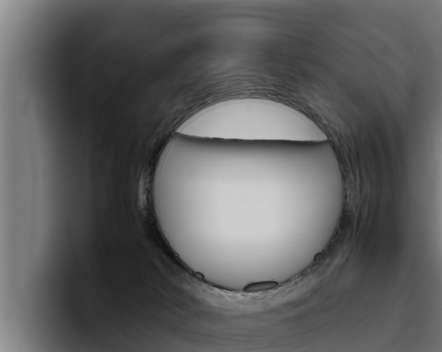 X0000094780038200711160859