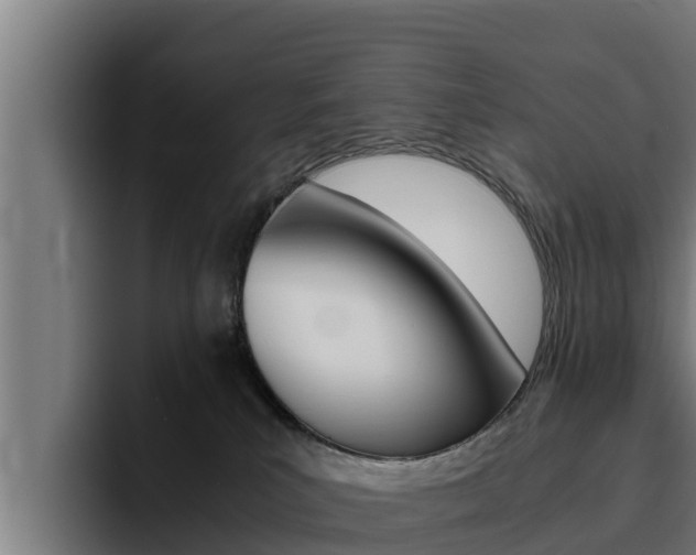 X0000094780039200711160859