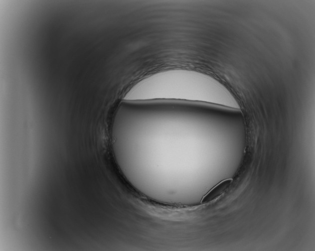X0000094780040200711160859