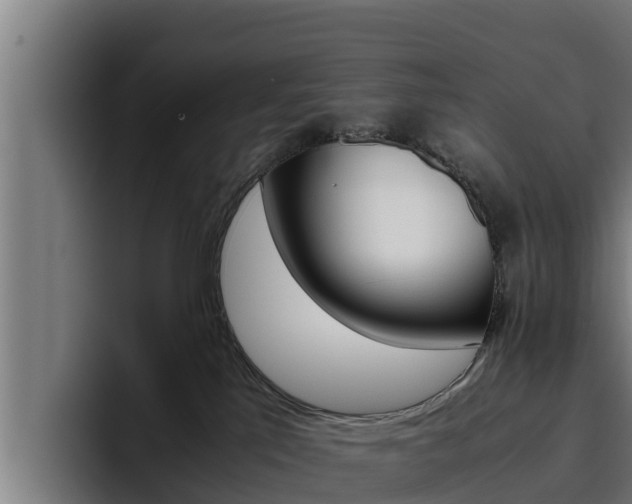 X0000094780041200711160859
