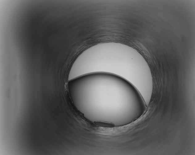 X0000094780045200711160859