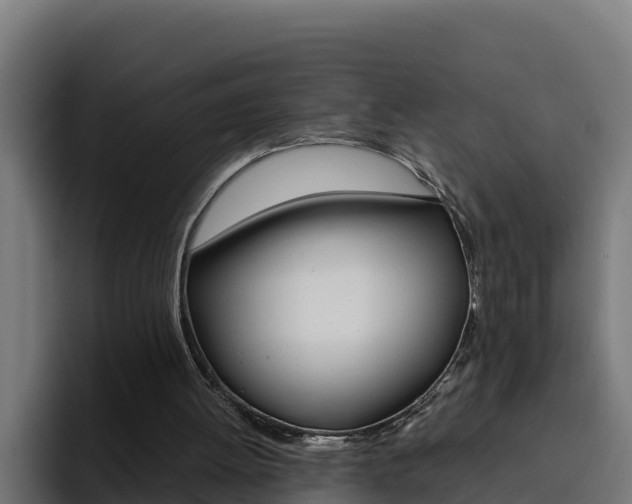 X0000094780052200711160858