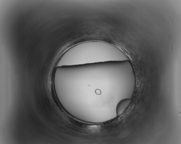 X0000094780053200711160858