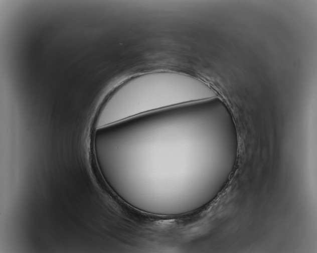 X0000094780054200711160858