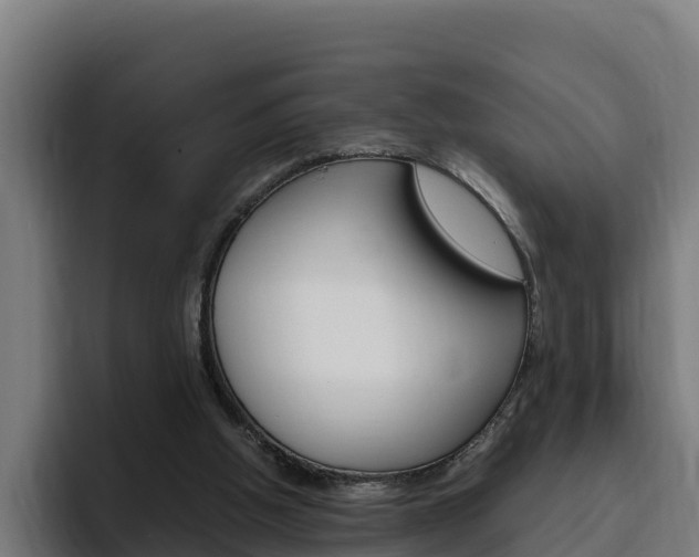 X0000094780058200711160859