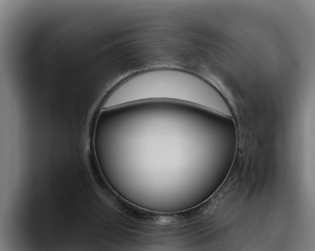 X0000094780060200711160859