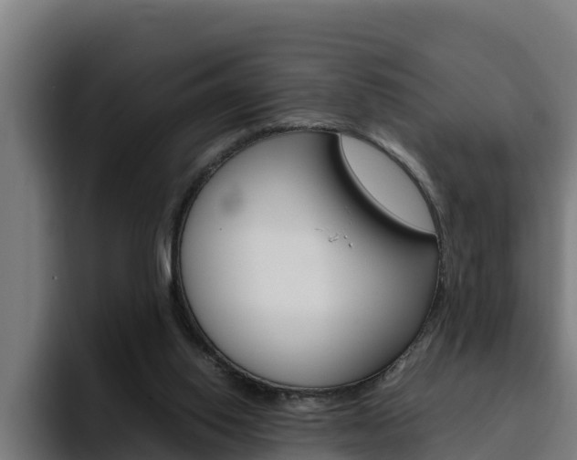 X0000094780062200711160859
