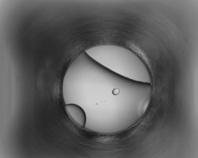 X0000094780065200711160859