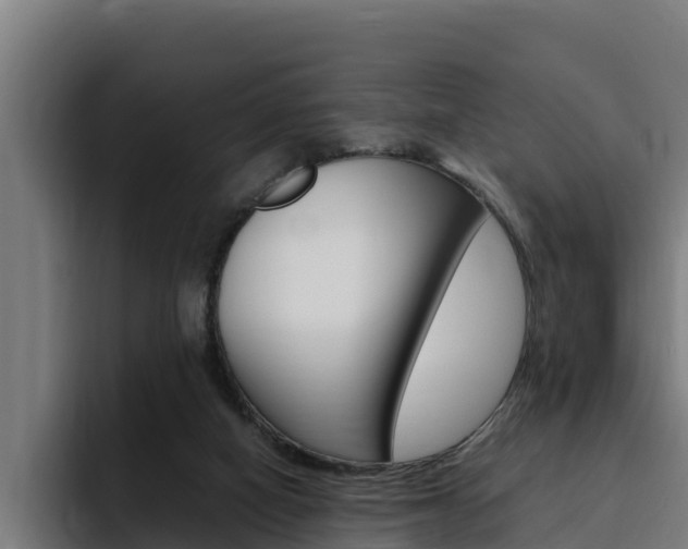 X0000094780066200711160859