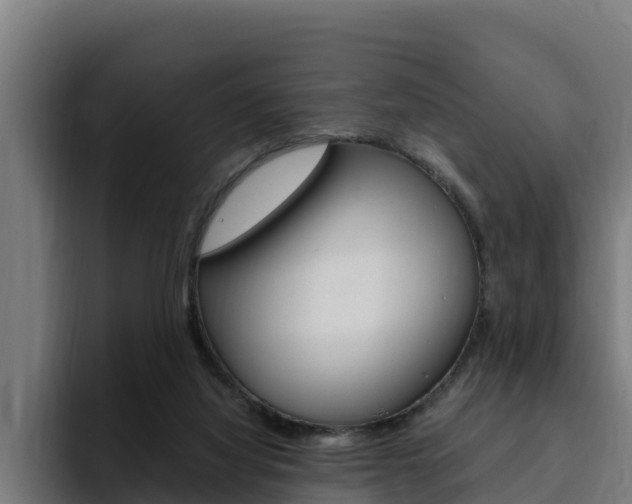X0000094780068200711160859