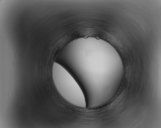 X0000094780073200711160859