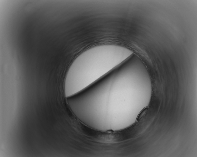 X0000094780075200711160859