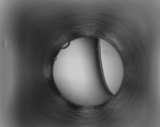 X0000094780077200711160859