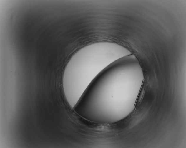 X0000094780080200711160859