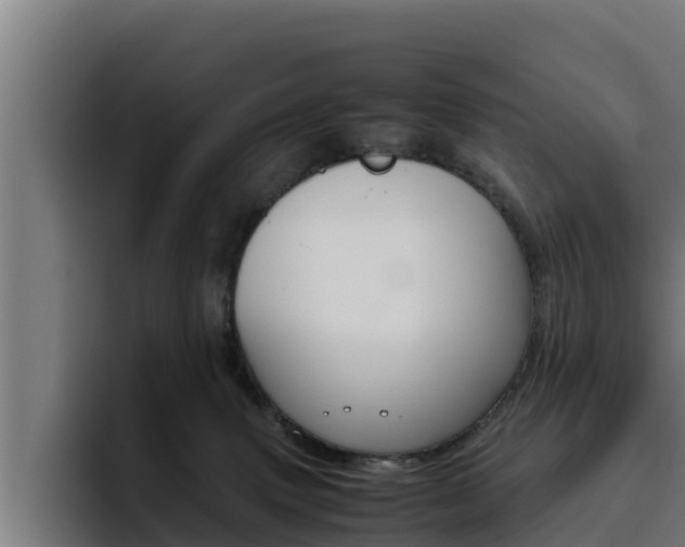 X0000094780083200711160859
