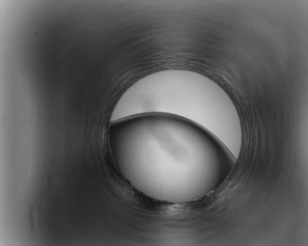 X0000094780092200711160859