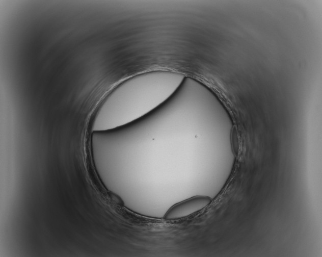 X0000094780098200711160858