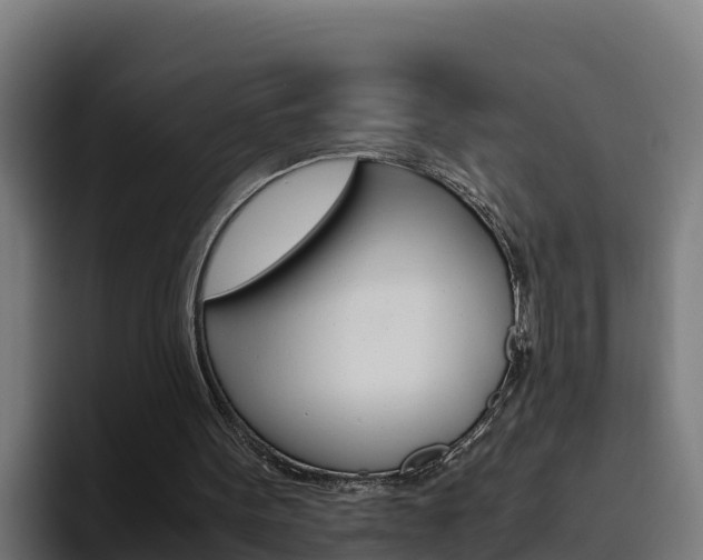 X0000094780099200711160858