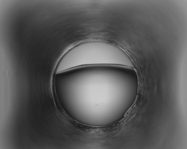 X0000094780100200711160858
