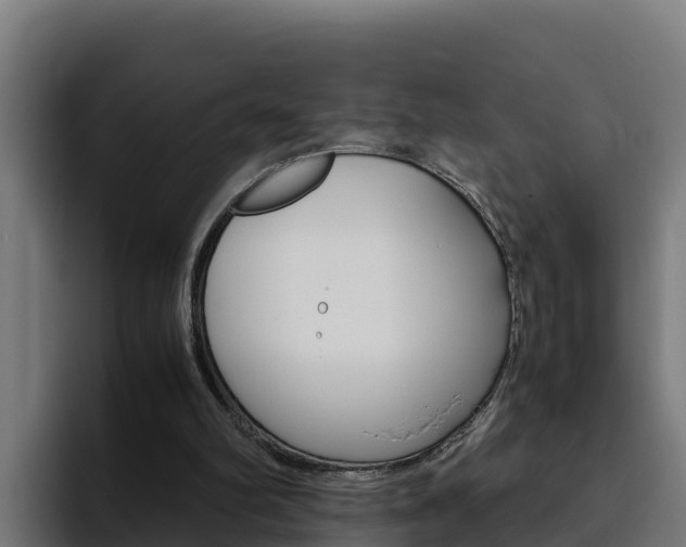 X0000094780102200711160858