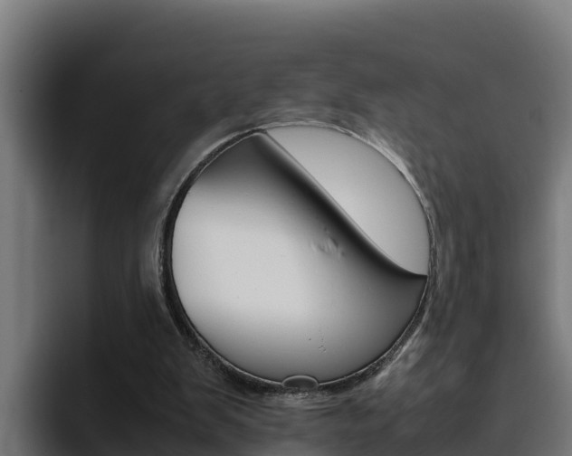X0000094780103200711160858