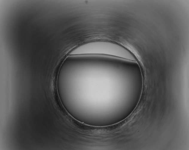 X0000094780105200711160858