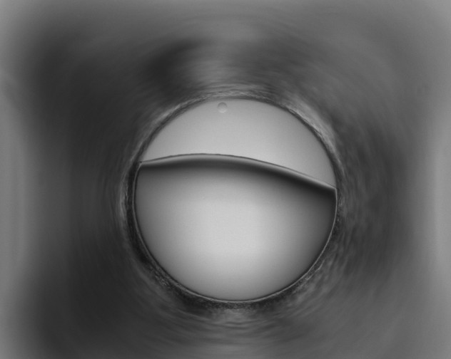X0000094780107200711160858