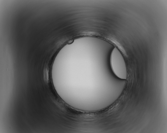 X0000094780110200711160858