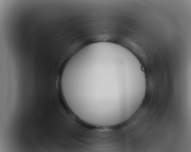 X0000094780118200711160858